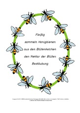 Elfchen-über-Bienen-Beispiel-2.pdf